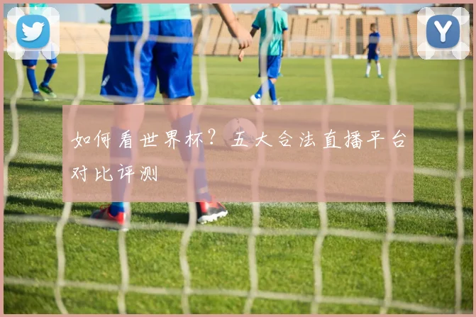 如何看世界杯?五大合法直播平台对比评测