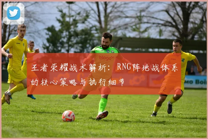 王者荣耀战术解析：RNG阵地战体系的核心策略与执行细节