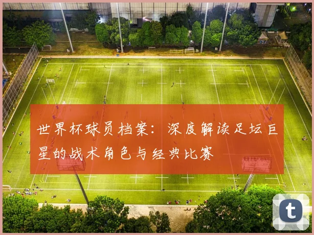 世界杯球员档案：深度解读足坛巨星的战术角色与经典比赛