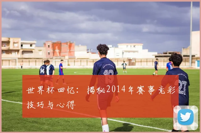 世界杯回忆:揭秘2014年赛事竞彩技巧与心得