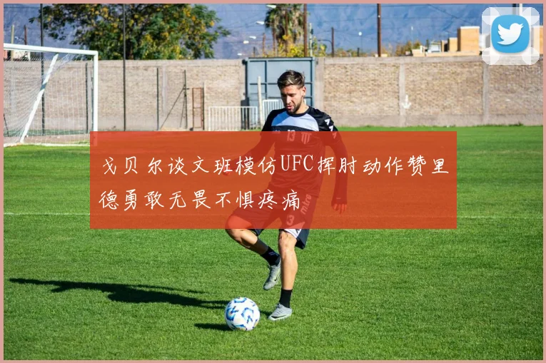 戈贝尔谈文班模仿UFC挥肘动作赞里德勇敢无畏不惧疼痛