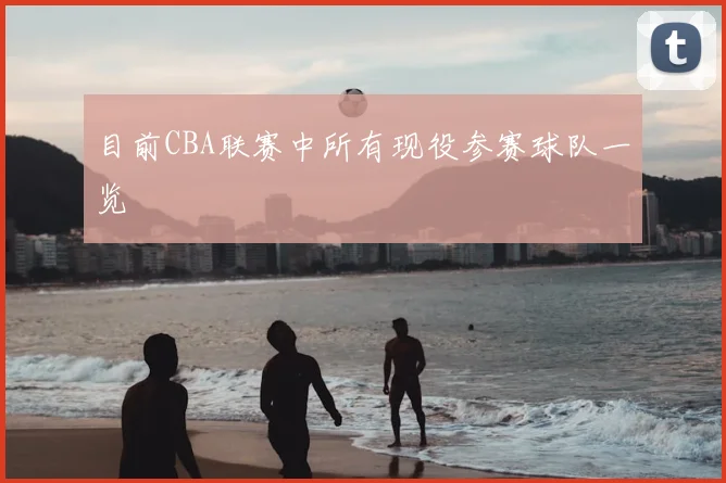 目前CBA联赛中所有现役参赛球队一览