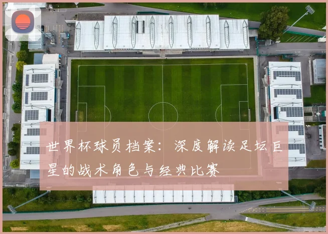 世界杯球员档案：深度解读足坛巨星的战术角色与经典比赛