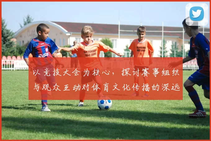 以竞技大会为核心，探讨赛事组织与观众互动对体育文化传播的深远影响