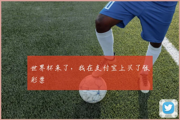 世界杯来了,我在支付宝上买了张彩票