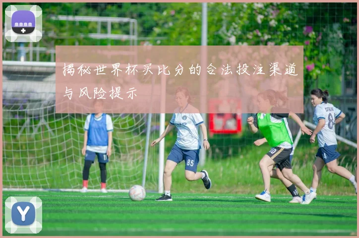 揭秘世界杯买比分的合法投注渠道与风险提示