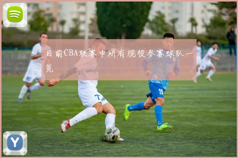 目前CBA联赛中所有现役参赛球队一览